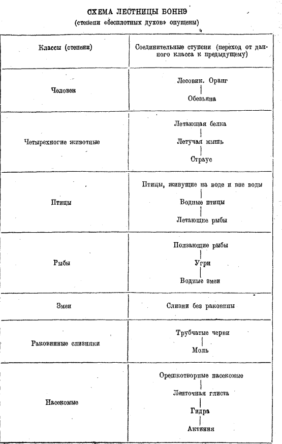 Очерки по истории зоологии